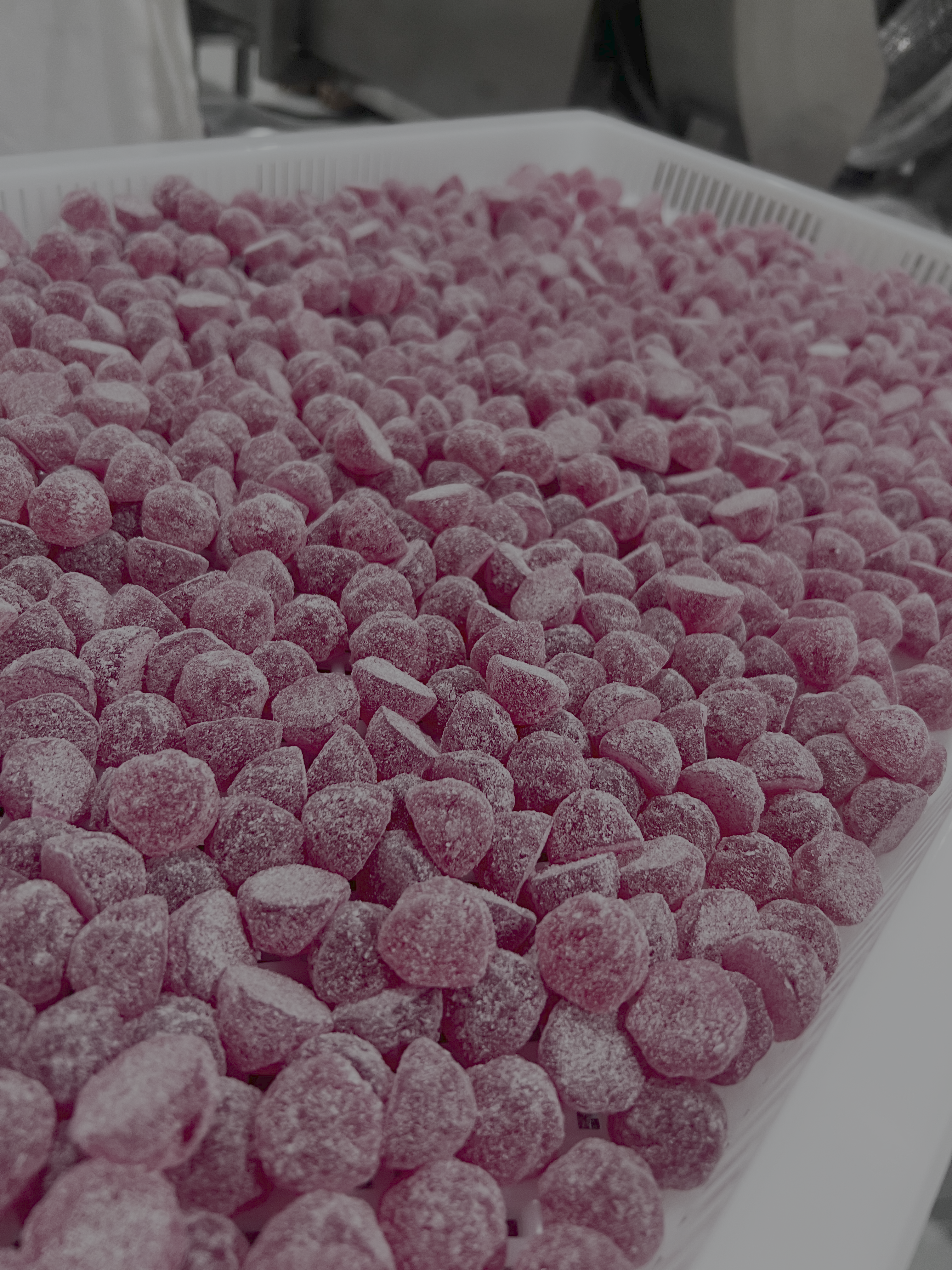 Dry-Well tunnel drying systems installed in facility